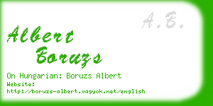 albert boruzs business card